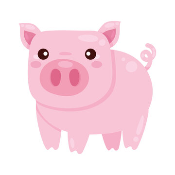 cute pig farm animal