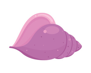 lilac sea shell