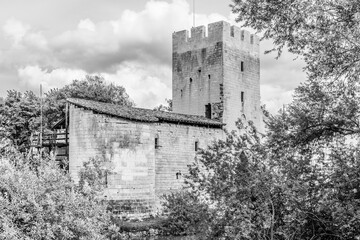 Vue de diagonale sur le ch&acirc;teau de Gombervaux derri&egrave;re les branches