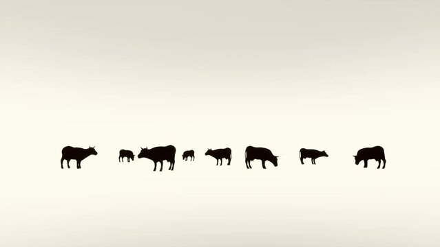 Cows Silhouette, Animation 19x1080 Full hd, 10 Seconds Long. 