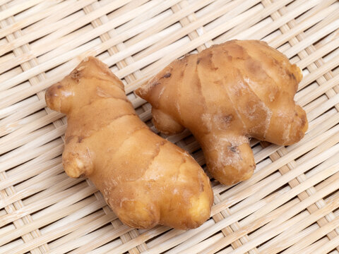 土ショウガ Images Browse 65 Stock Photos Vectors And Video Adobe Stock