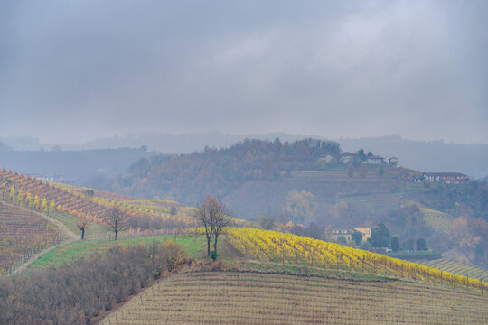 Autumnal landscape of vines and hills in Langhe in rainy day, Piedmont region, Northern Italy