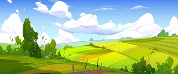 Fototapeten Ländliche Landschaft mit grünen Feldern, Weg und Büschen mit Blumen. Vektor-Cartoon-Panorama-Illustration der Sommerlandschaft mit Weiden, Gras und Ackerland © klyaksun