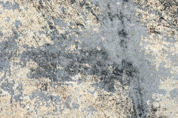 abstract form and texture on the floor