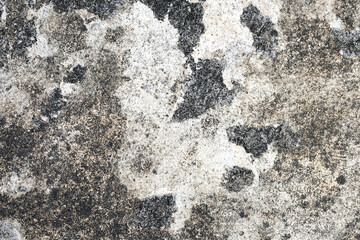 abstract form and texture on the floor