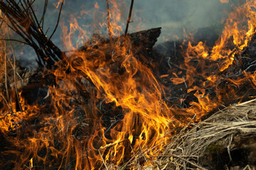 Burning of garbage. Set fire to illegal landfill. Flames and smoke.
