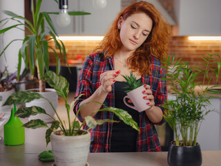 Young smiling female gardener in plaid shirt taking care of plants. Home gardening, houseplant love, freelancing. Home gardening and slow life rituals. Indoor gardening.