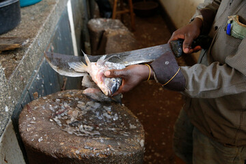 Client of microfinance selling fish at Masindi market. He is servicing his second loan (2 million...