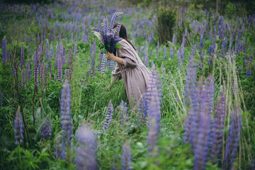 Cottagecore aesthetics. Stylish woman in rustic dress holding lupine bouquet in meadow. Young female in linen dress gathering wildflowers in atmospheric summer countryside, rural slow life