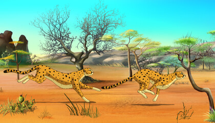 Cheetahs on the Hunt © multipedia