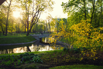 Summer canal pond landscape in Saint Petersburg, Russia.