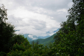 Spring morning at mountains and clouds. Atmospheric landscape with trees and low clouds on cloudy sky. Awesome mountain scenery.