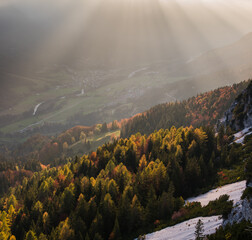 Autumn landscape in the mountains on a sunrise with fog. 