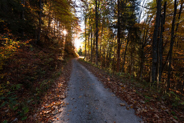 Fototapeta na wymiar Autumn under the mountains of Julian Alps