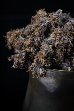 Cannabis buds dried and cured from a marijuana plant against a black background