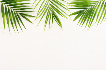 Obraz na płótnie Canvas Image of tropical green palm over white wooden background