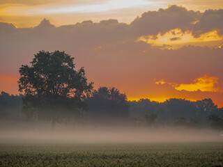 Nebel und Sonne