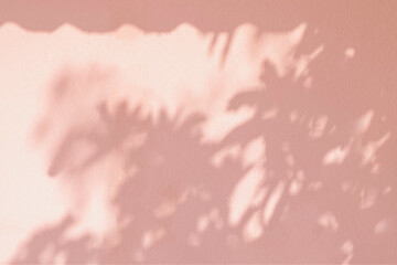 Abstract leaves shadow colorful background with tree branch