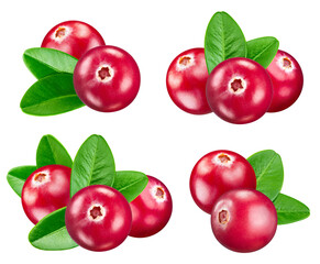 cranberries isolated on white background