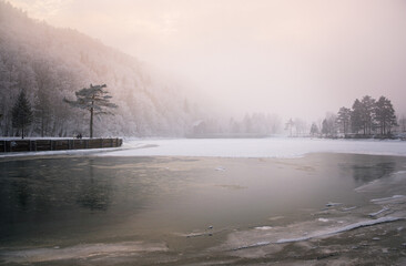 Man and his dogs enjoying at frozen lake