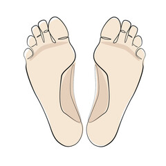 Feet one line drawing on white isolated background