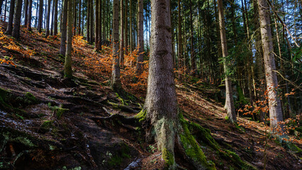 Steep passage - Steile Passage