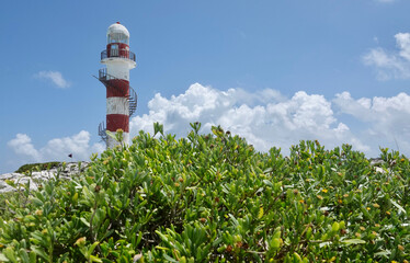 Fototapeta na wymiar View of the red and white Punta Cancun Lighthouse, Faro de Punta Cancun, through the green vegetation at the north end of the Hotel Zone, Zona Hotelera, in Cancun, Mexico. High quality photo
