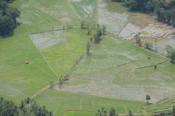 view of a field from above