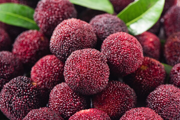 close up of red and ripe waxberry background.