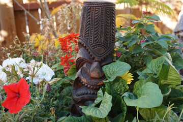 flower in the garden