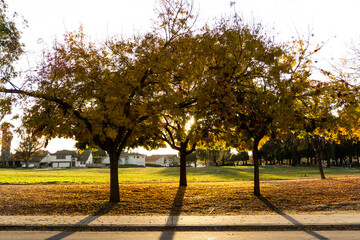 park in autumn