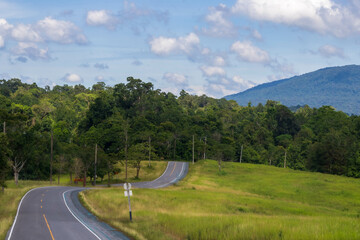 Fototapeta na wymiar mountains, asphalt, summer, clouds, country, hill, way, rural, forest, transportation, countryside, route, green, tree, grass, winding, transport, scenic,national park,khaoyai,blue sky,sky,wildlife,