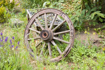 old wagon wheel