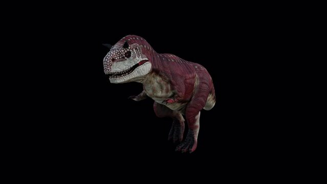 Carnotaurus Dinosaur Walking,Animation.Full HD 1920&times;1080. 07 Second Long.Transparent Alpha Video. LOOP.