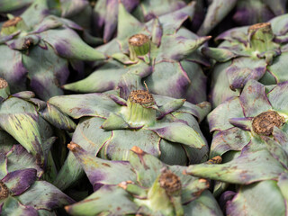close up of artichokes at a vegetable market