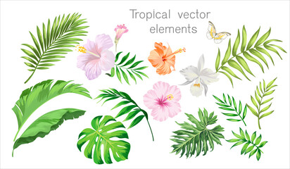 Tropical vector set. Isolated elements on white background. Jungle leaves, birds and flowers. © Logunova  Elena