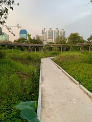 BANGKOK, THAILAND June 1, 2022 : Skywalk crisscrossing a lovely view of wetland and high rise buildings at  Benjakitti Park.