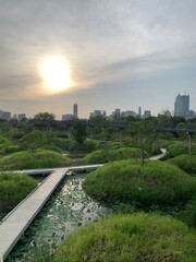 BANGKOK, THAILAND June 1, 2022 : Skywalk crisscrossing a lovely view of wetland and high rise buildings at  Benjakitti Park.