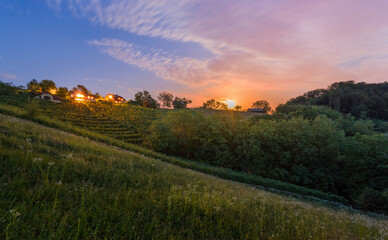 Vineyard in Slovenia in the evening with the moon rising. 