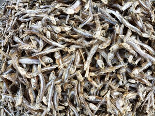 dried  fish  on the market Tamil Nadu 