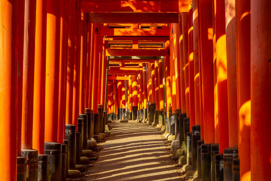 Senbon torii path in Fushimi Inari-taisha, kyoto, japan