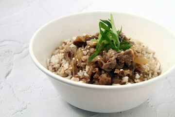 Freshly cooked Japanese food called Gyudon