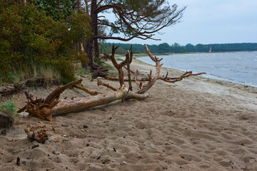 Palmer Ort auf Rügen im Herbst bei Sturm