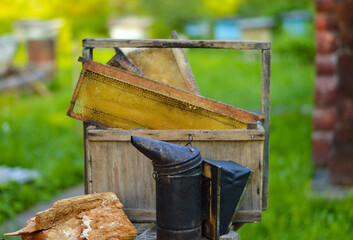 Fototapeta na wymiar A tool of the beekeeper. Everything for a beekeeper to work with bees. Smoker, a number, a box