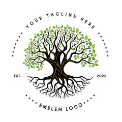banyan oak tree. logo design inspiration.