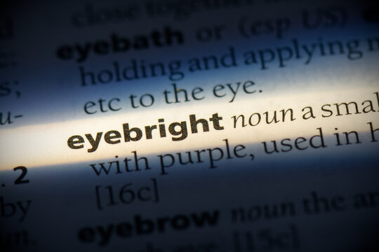 eyebright