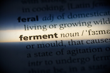 ferment
