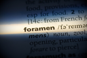 foramen