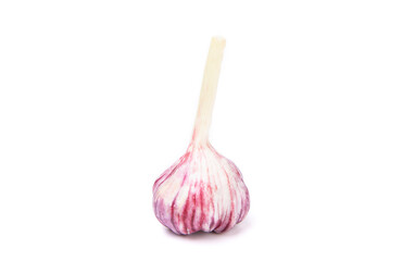 Fresh organic garlic bulb allium sativum isolated on white