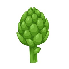 Vector illustration of Globe artichoke or green thistle Flower bud of cynara cardunculus. isolated on white background. healthy green vegetables. Fresh French artichoke heads.